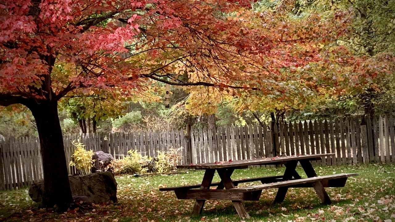 Photo of Outdoor in Bigfork