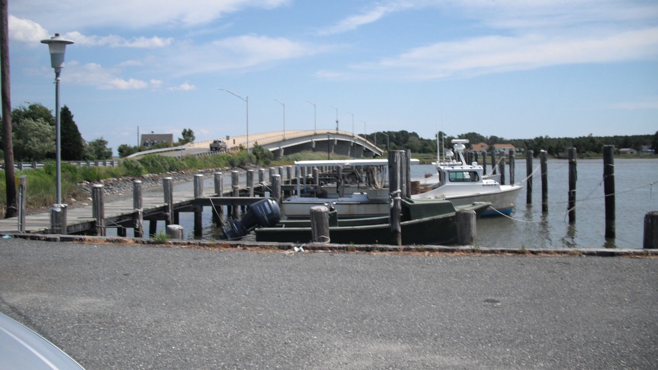 Photo of Others in Fishing Creek