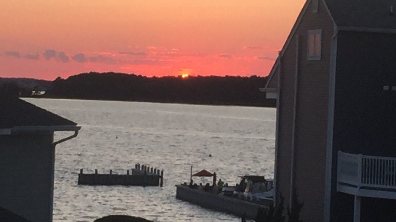 Photo of Others in Dewey Beach