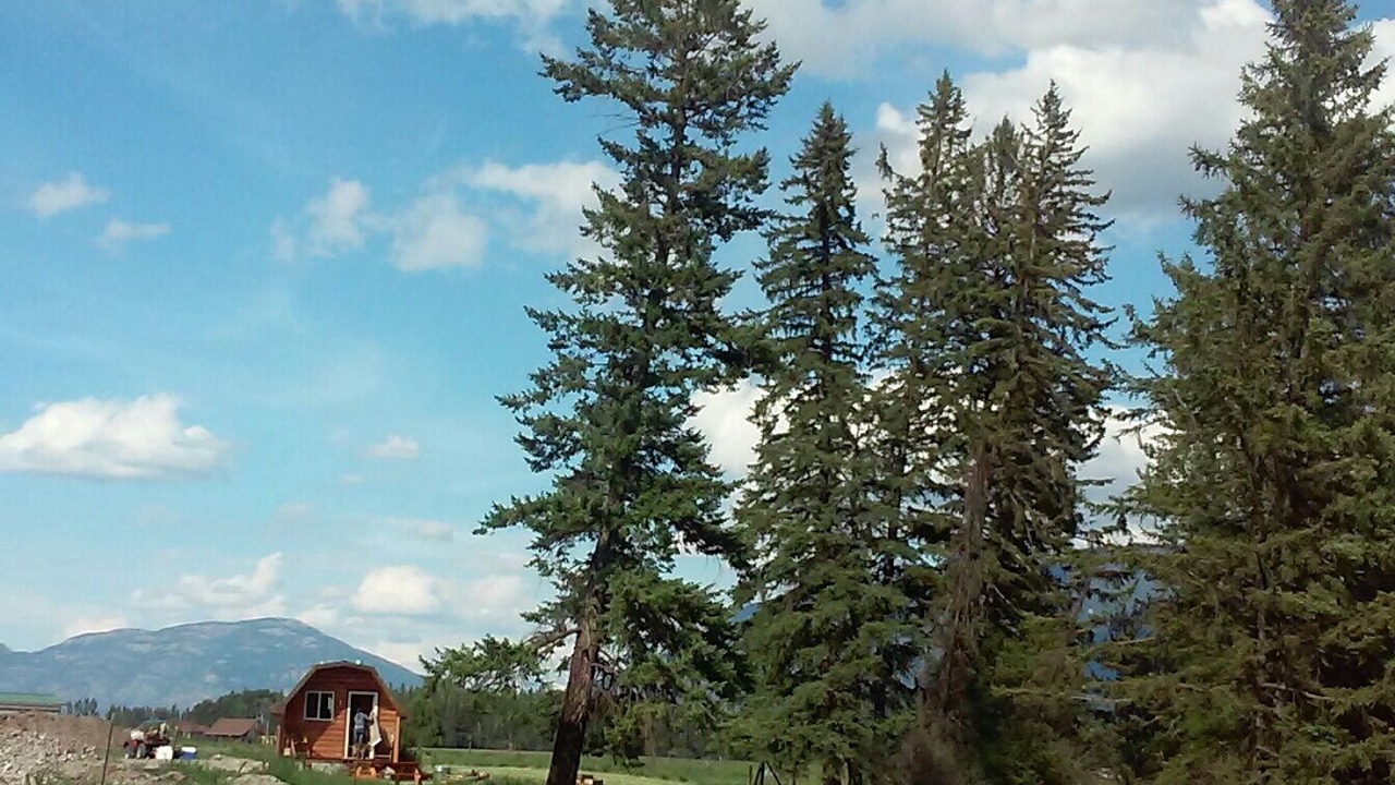 Photo of Others in Whitefish