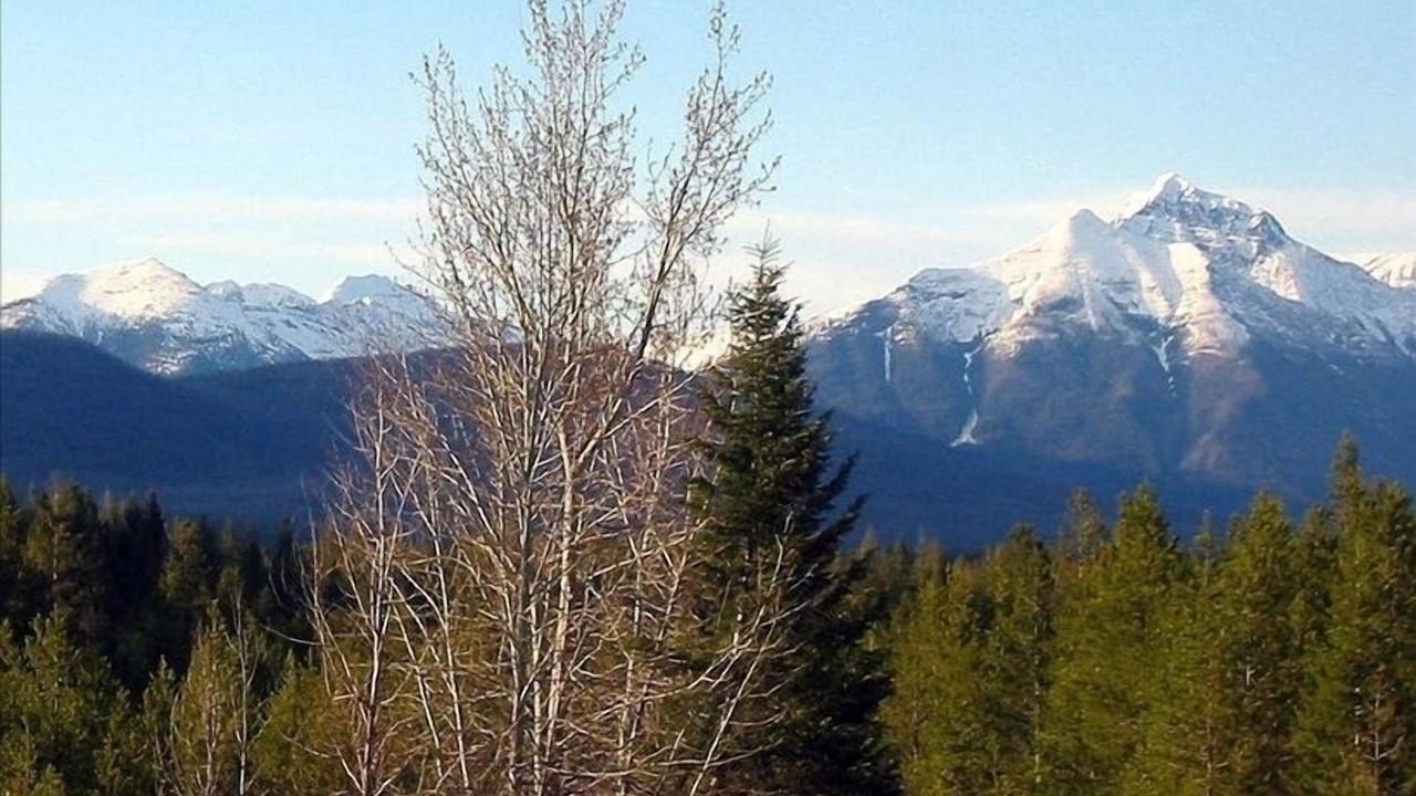 Photo of Others in West Glacier