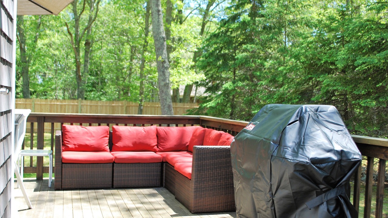 Photo of Outdoor in East Falmouth