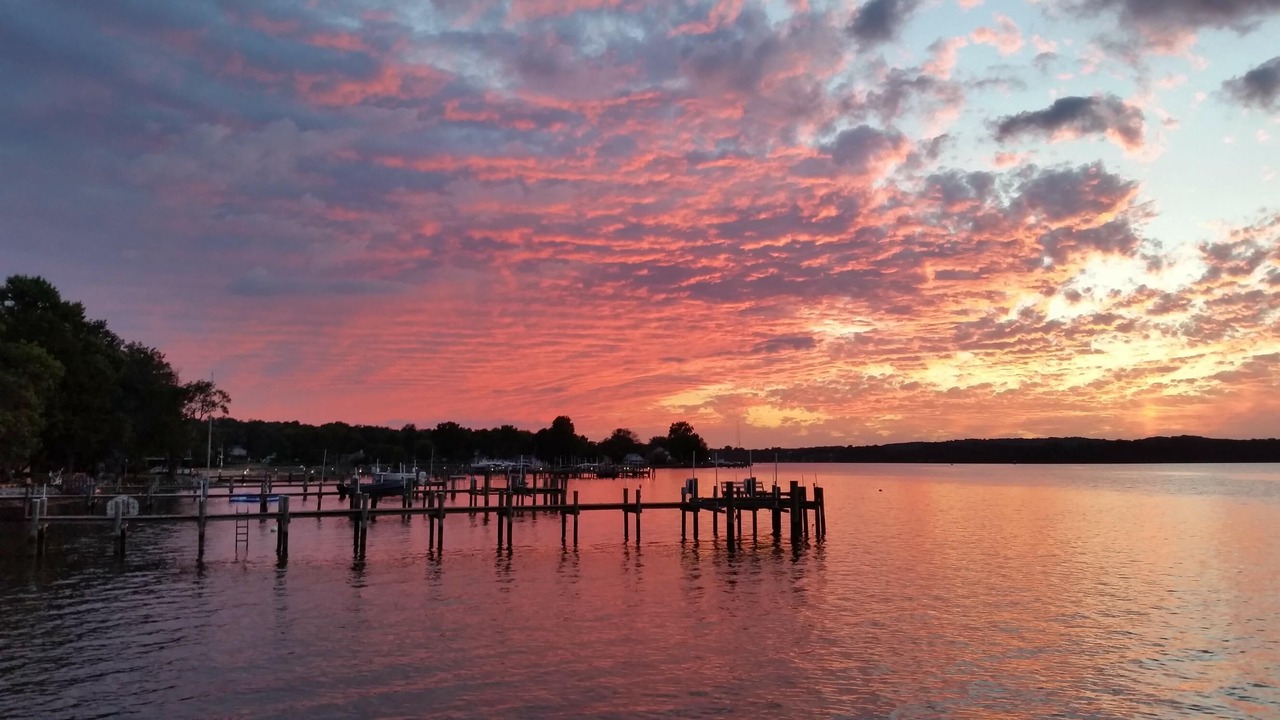 Photo of Others in Chesapeake City