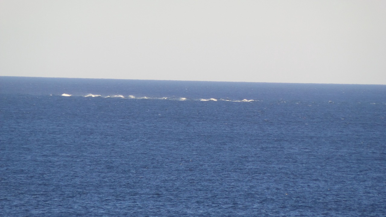 Photo of Others in Nantucket