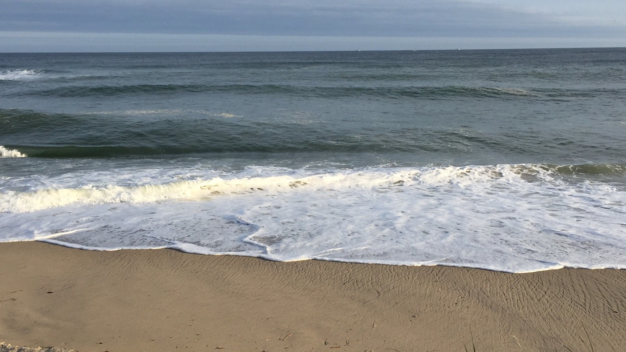 Photo of Others in Nantucket