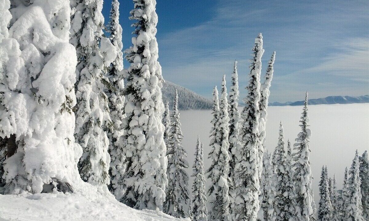 Photo of Others in Whitefish