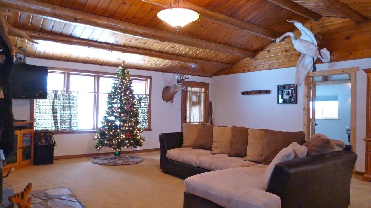 Photo of Livingroom in Swan Lake