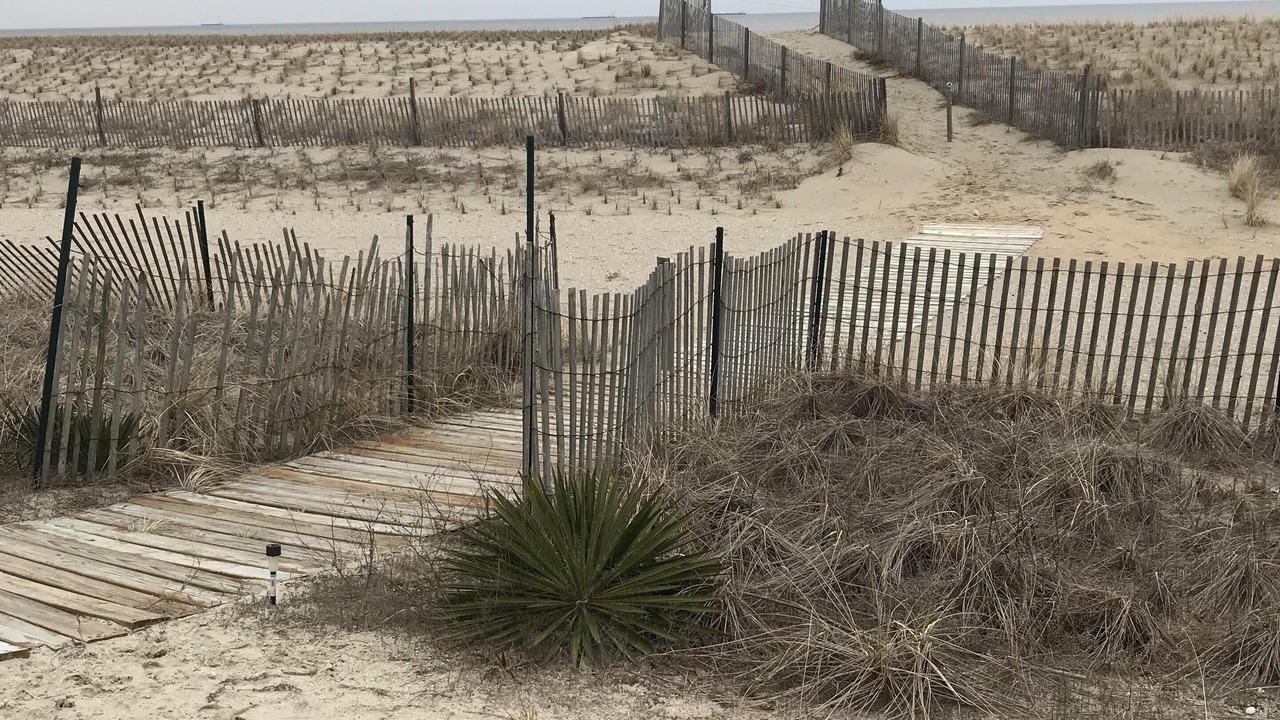 Photo of Others in Broadkill Beach