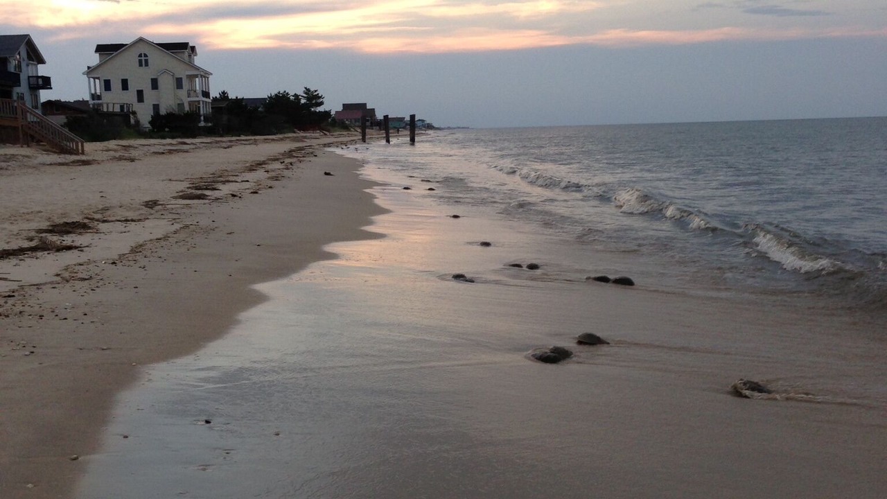 Photo of Others in Broadkill Beach