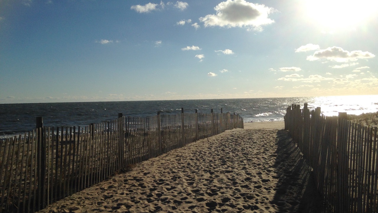 Photo of Others in Dewey Beach