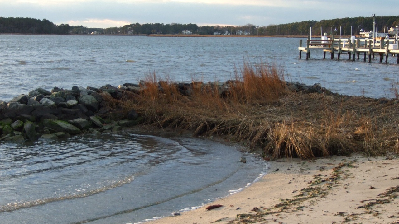 Photo of Others in Dewey Beach