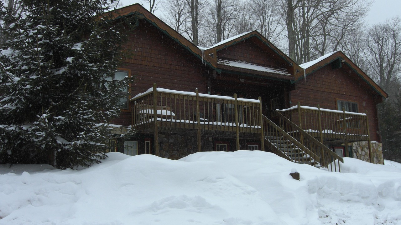 Photo of Others in Snowshoe