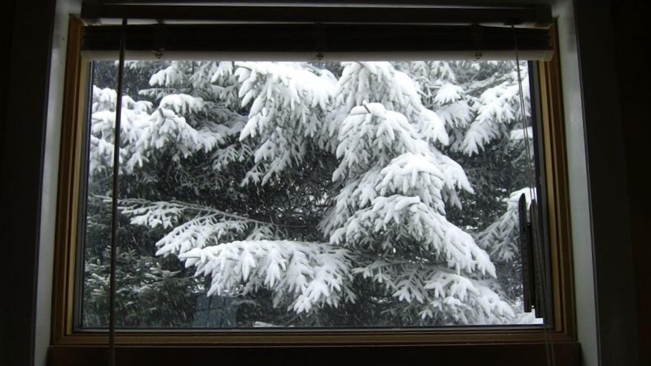 Photo of Others in Snowshoe