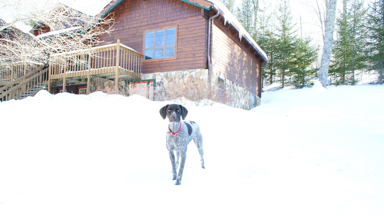Photo of Outdoor in Snowshoe