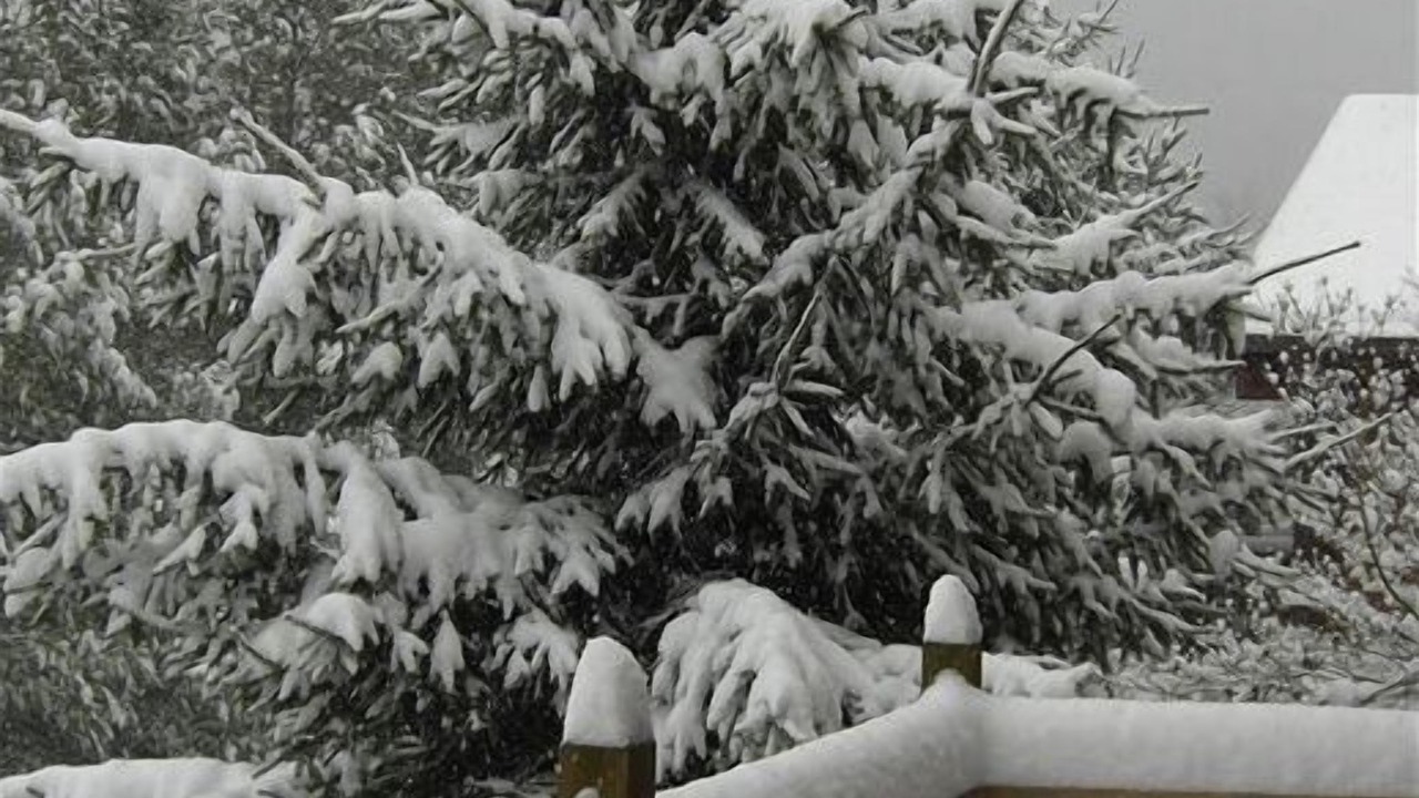 Photo of Outdoor in Snowshoe