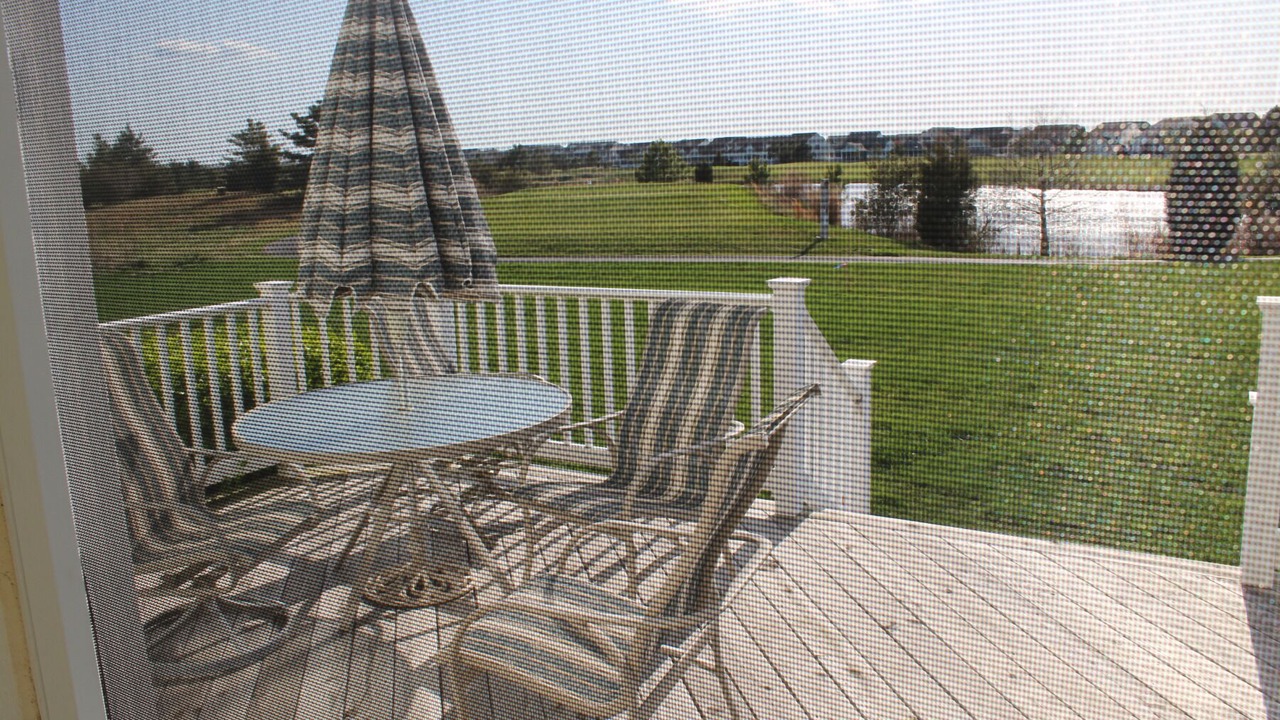 Photo of Others in Ocean View