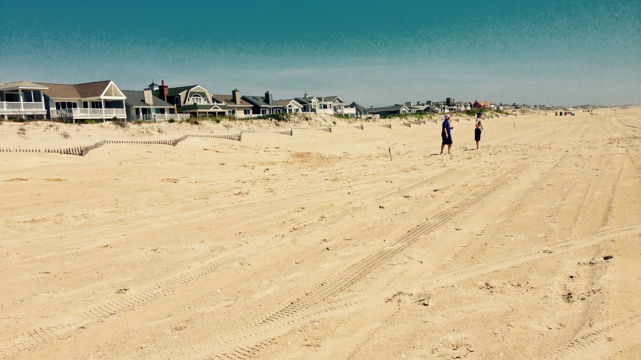 Photo of Others in South End