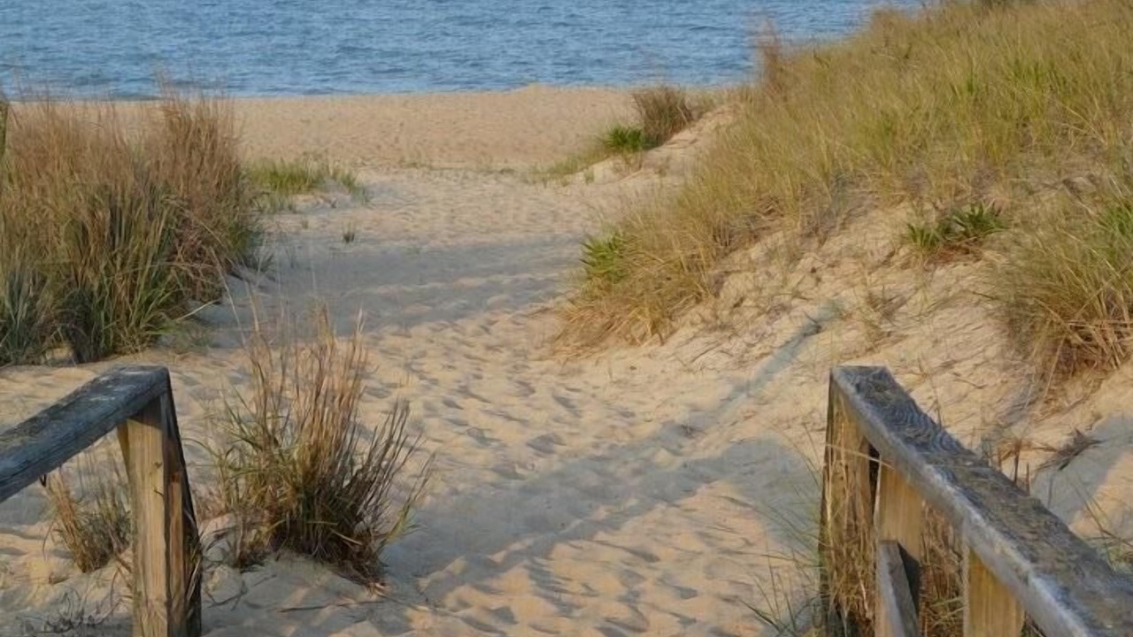 Photo of Others in Bethany Beach