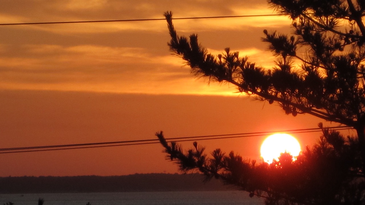 Photo of Others in Bethany Beach