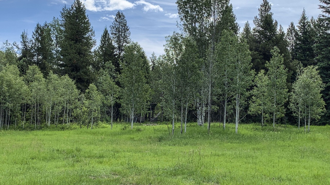 Photo of Outdoor in Polebridge