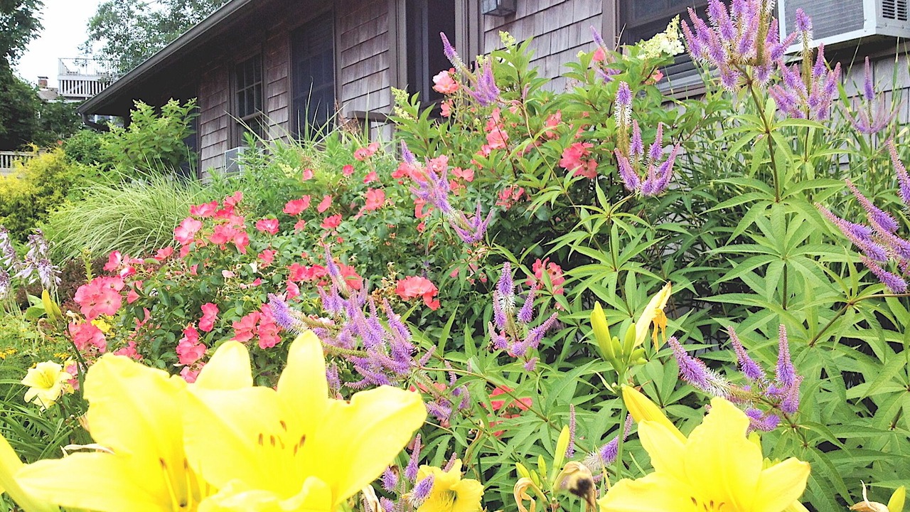 Photo of Outdoor in Provincetown
