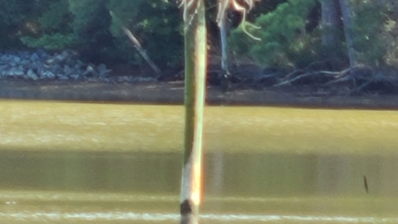 Photo of Outdoor in St. Michaels