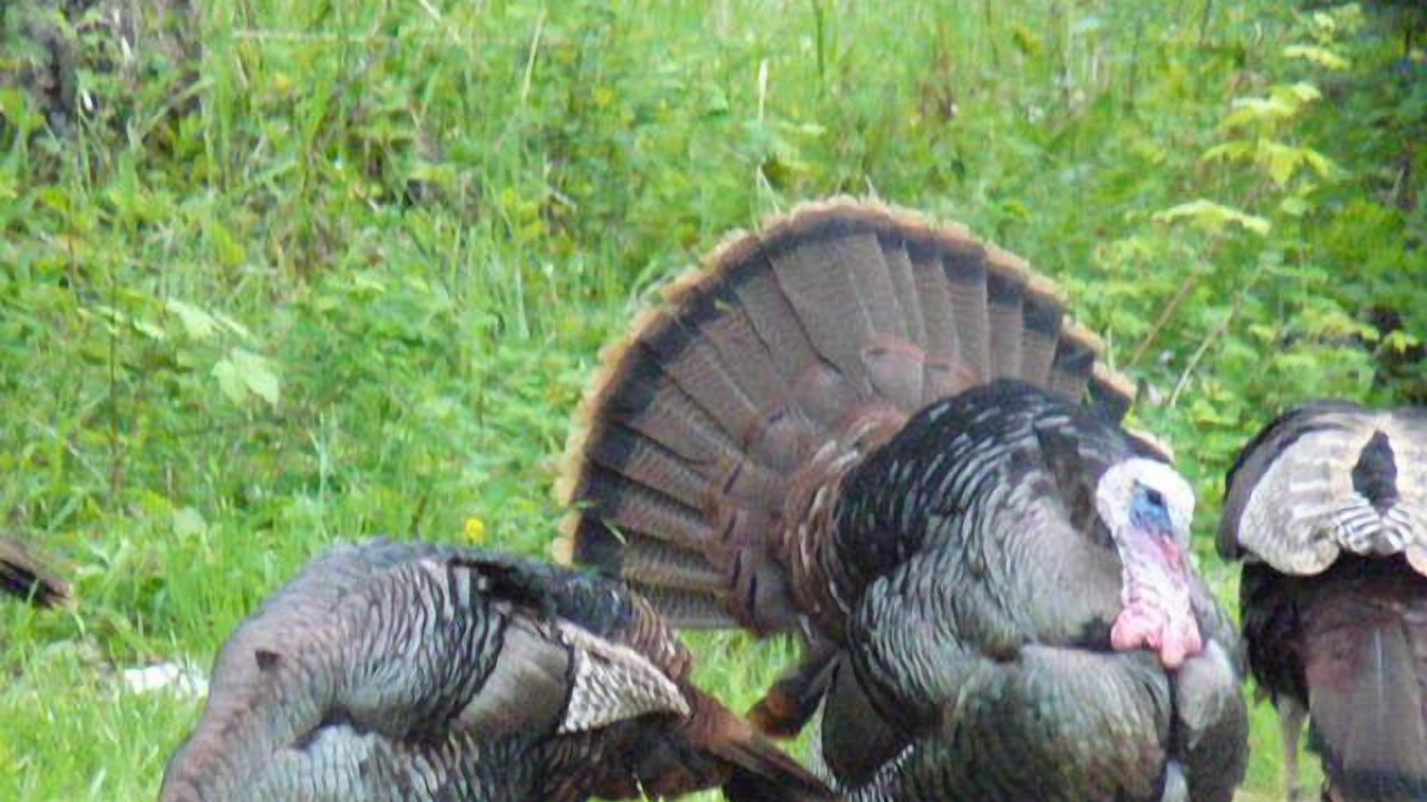 Photo of Others in Kalispell