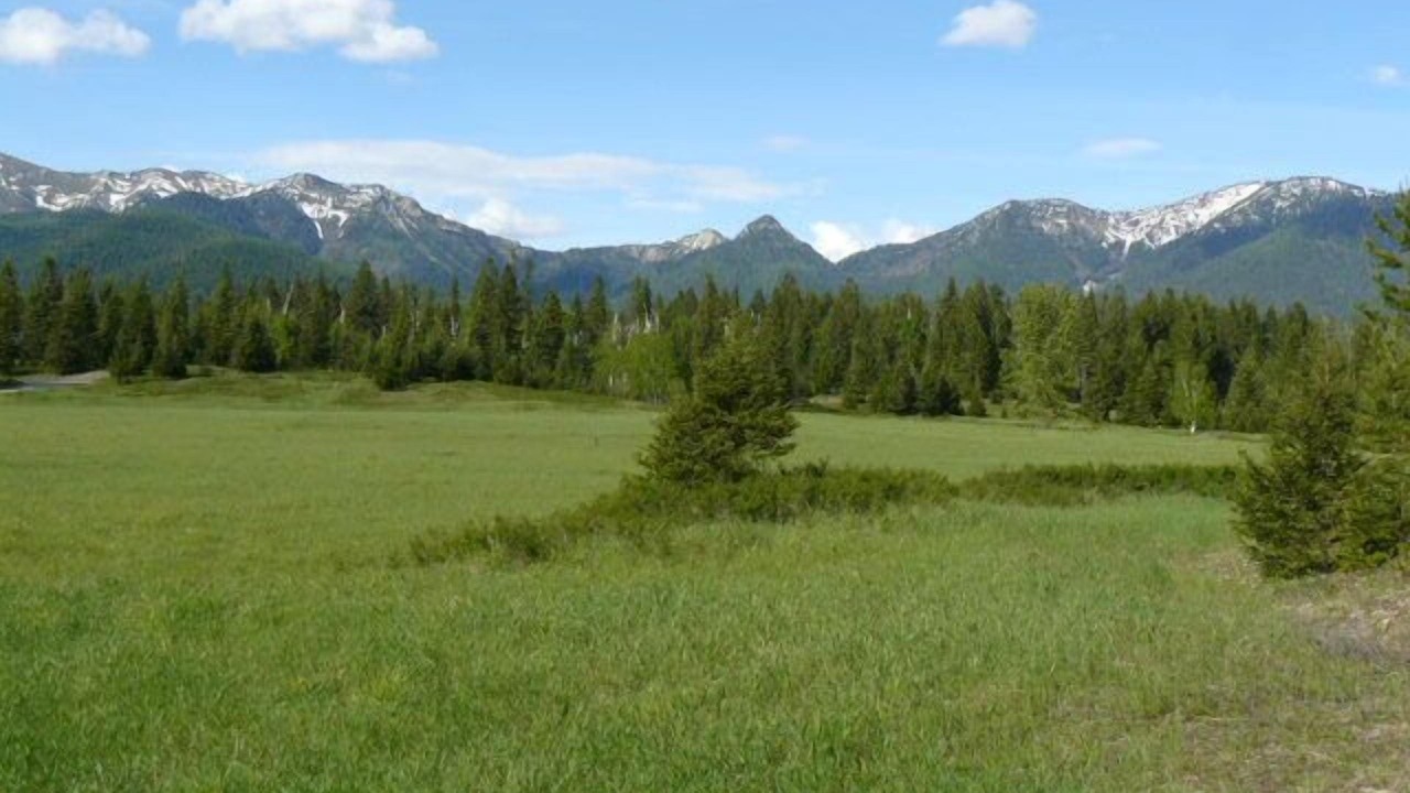 Photo of Others in Kalispell