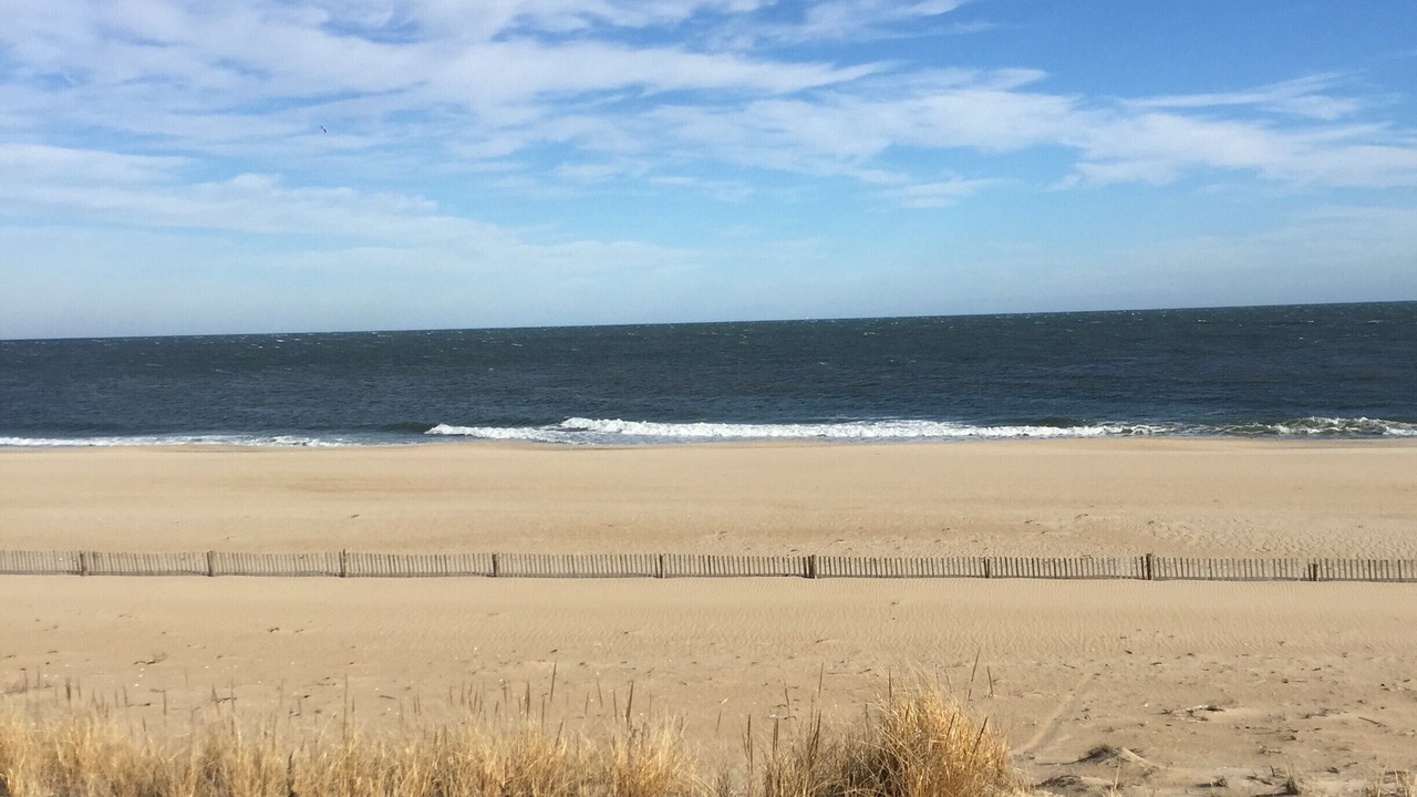 Photo of Others in Fenwick Island