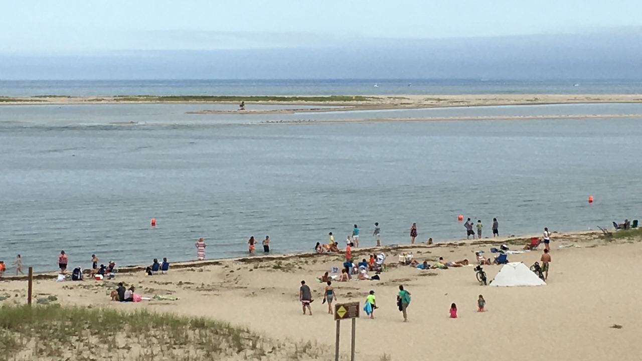 Photo of Others in Chatham