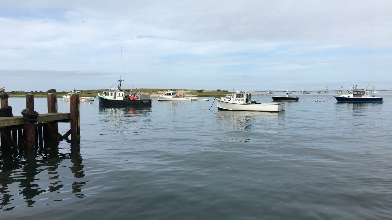 Photo of Others in Chatham