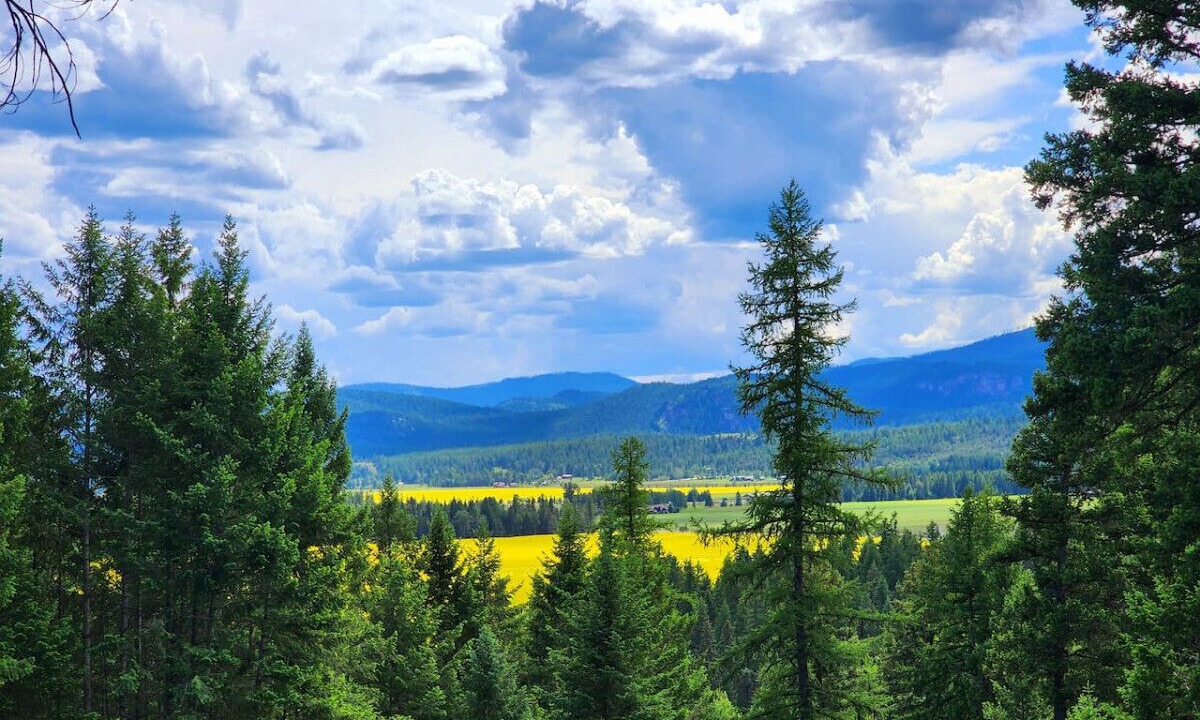 Photo of Others in Whitefish