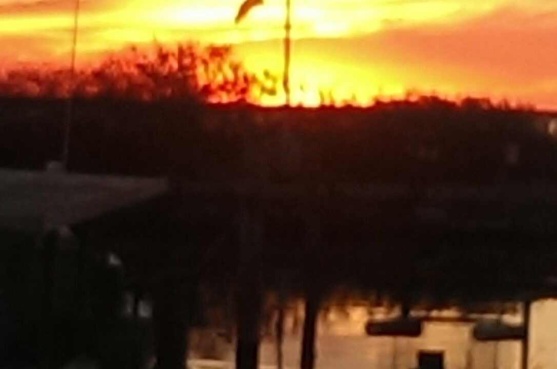 Photo of Outdoor in Stevensville