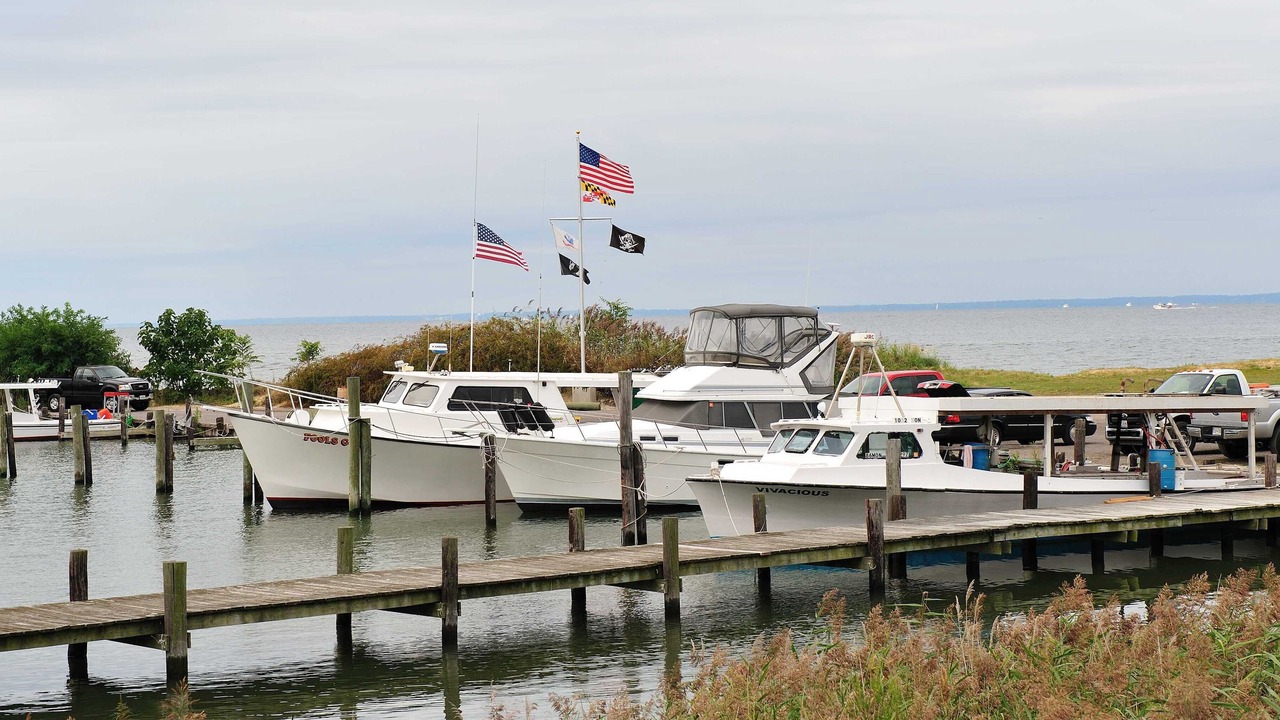 Photo of Others in Stevensville