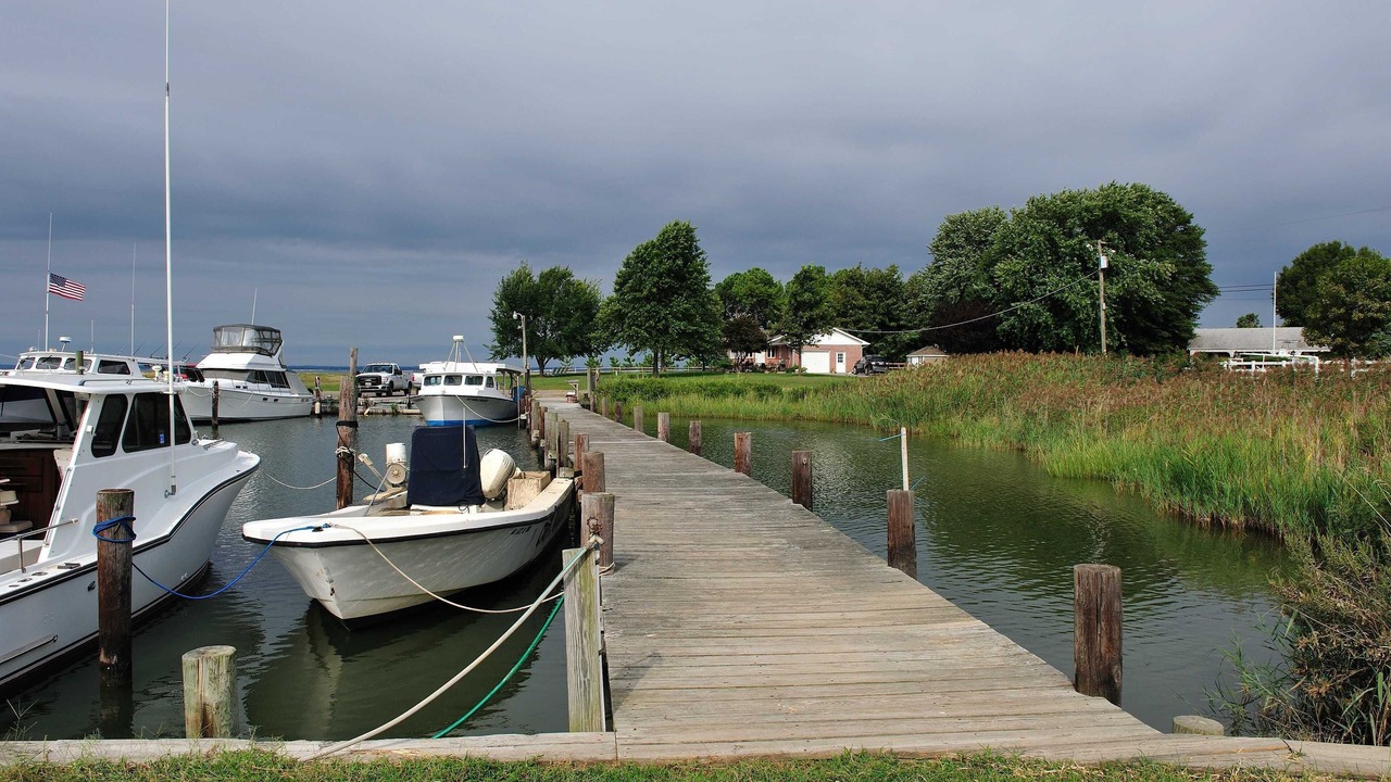 Photo of Others in Stevensville
