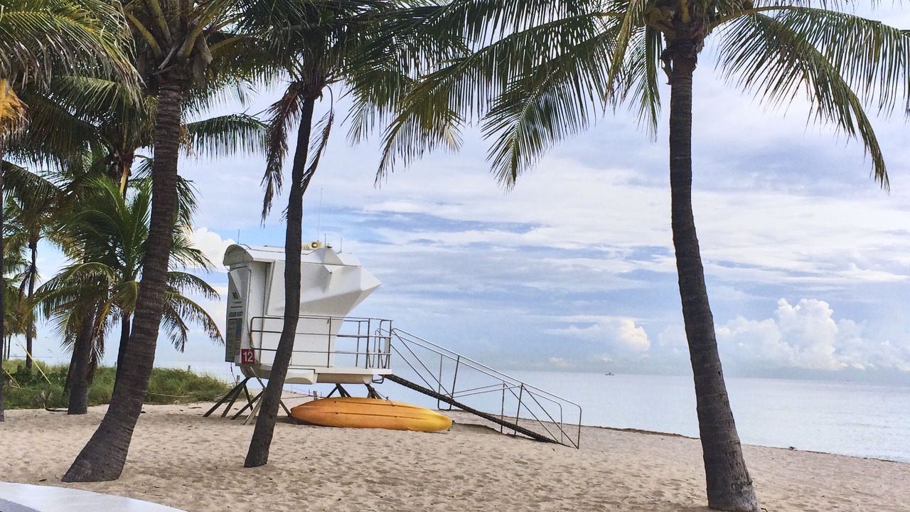 Photo of Others in Downtown Fort Lauderdale