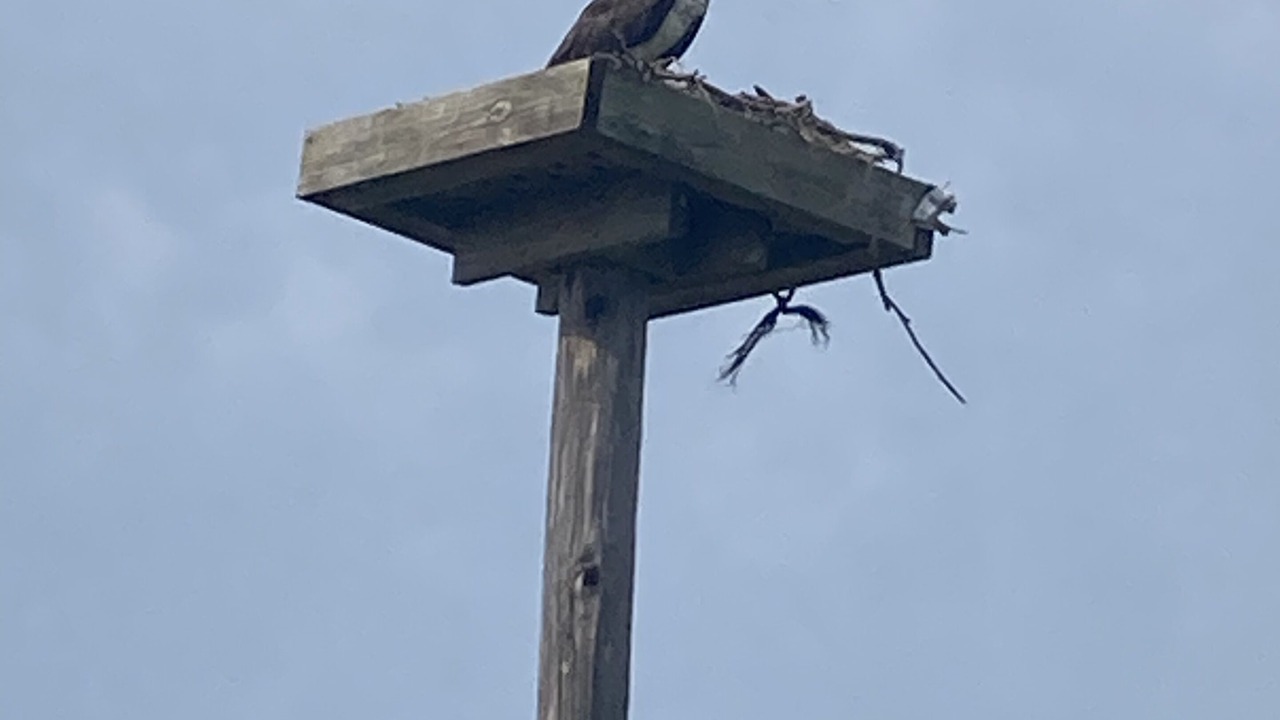 Photo of Others in Fishing Creek