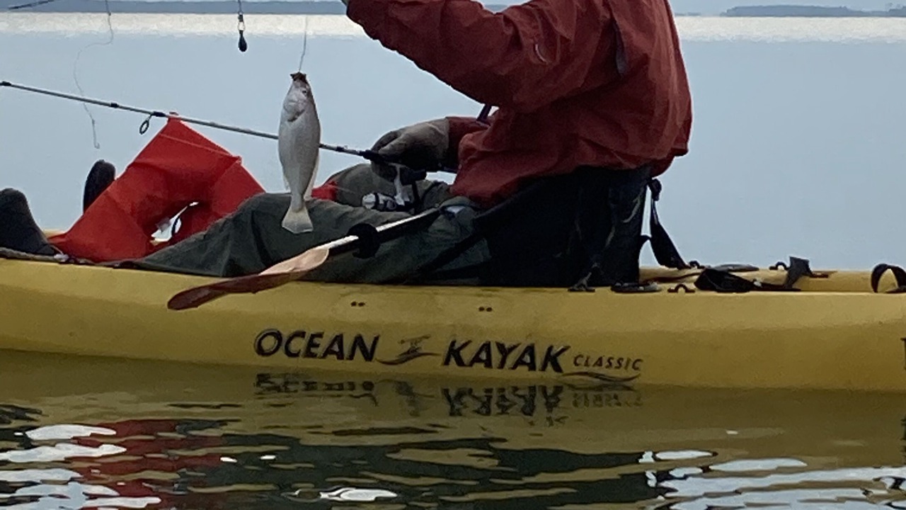Photo of Others in Fishing Creek