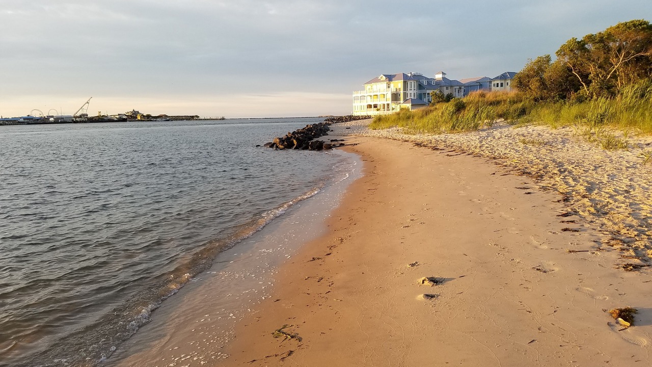 Photo of Others in West Ocean City