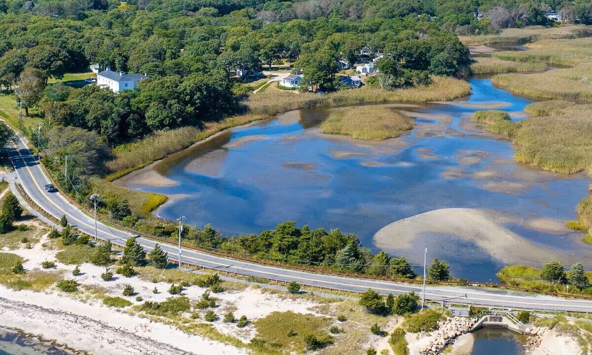 Photo of Others in Hyannis Port