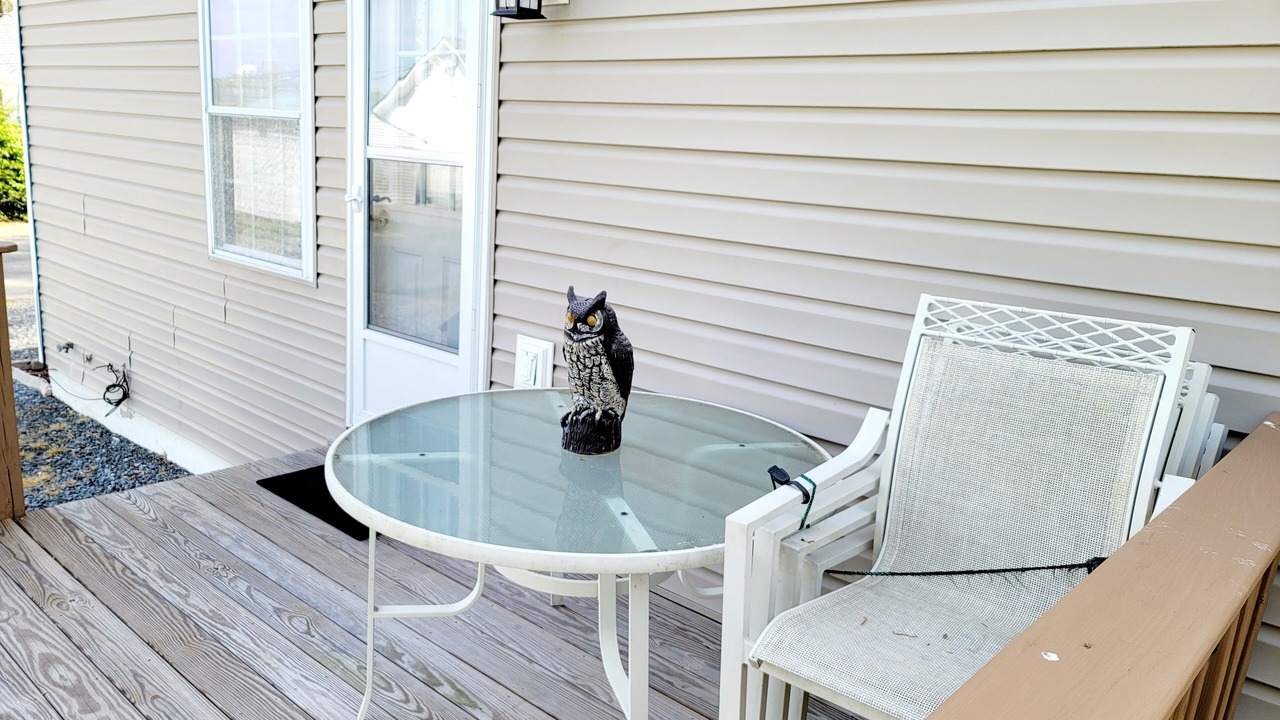 Photo of Outdoor in Colonial Beach