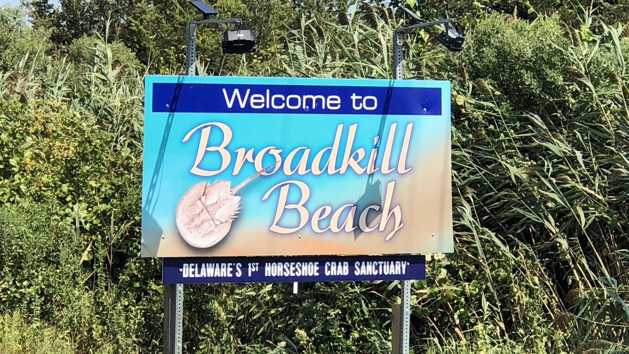 Photo of Outdoor in Broadkill Beach
