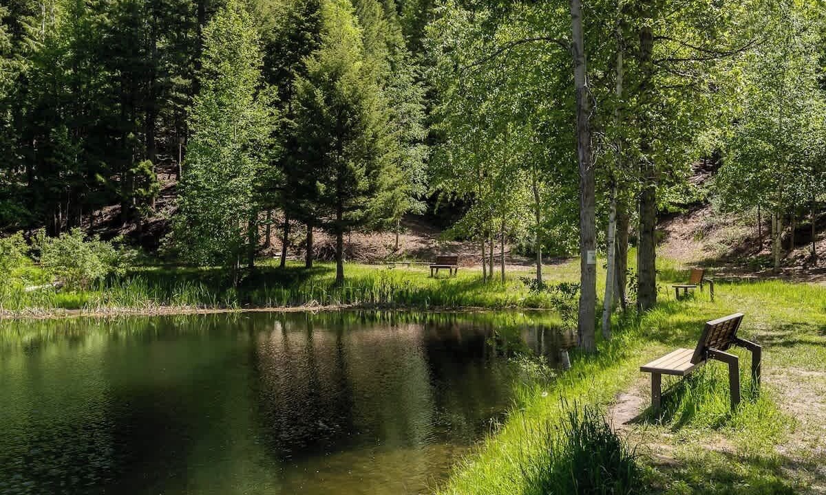 Photo of Others in Whitefish