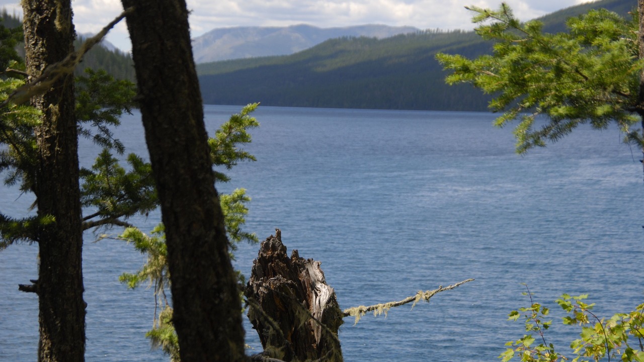 Photo of Others in Bigfork