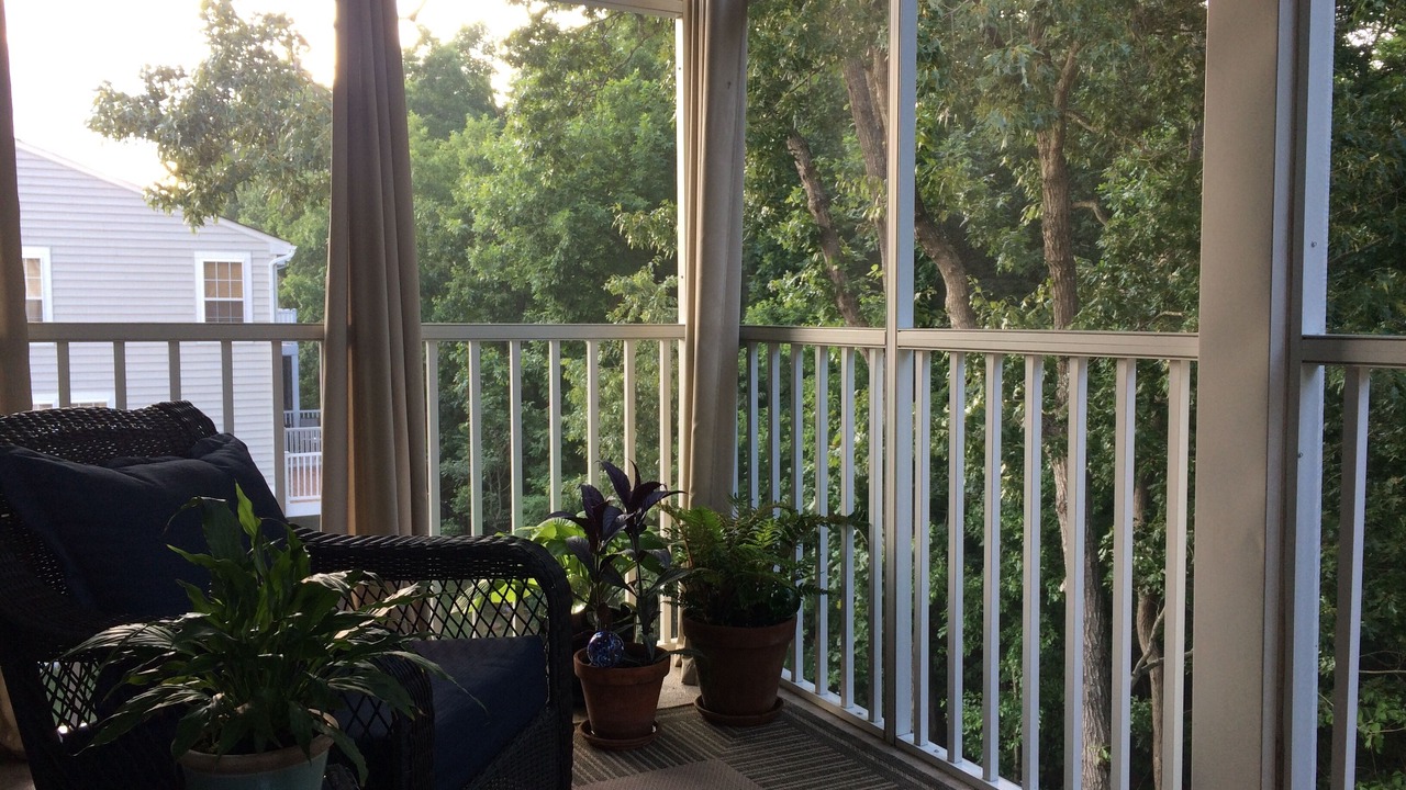 Photo of Outdoor in Rehoboth Beach