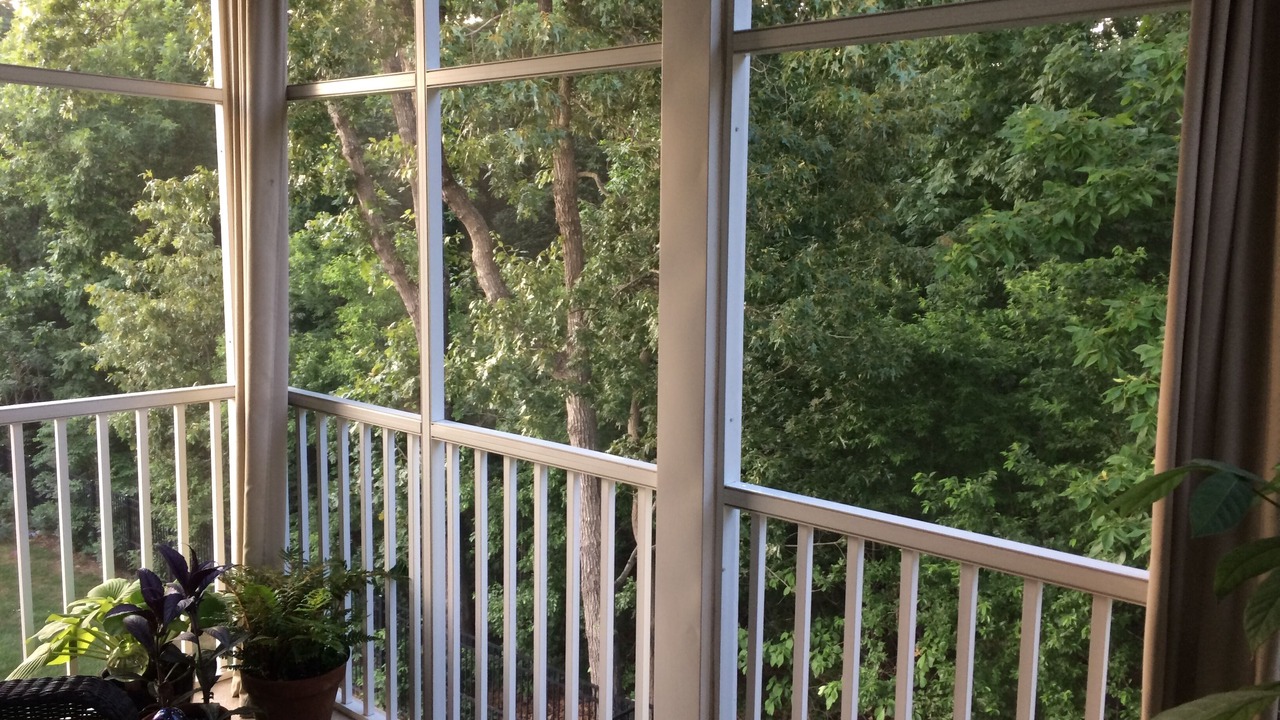 Photo of Outdoor in Rehoboth Beach
