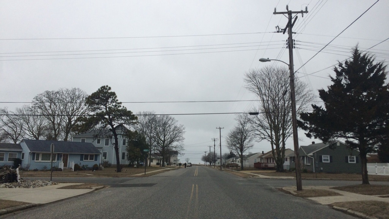 Photo of Others in North Cape May