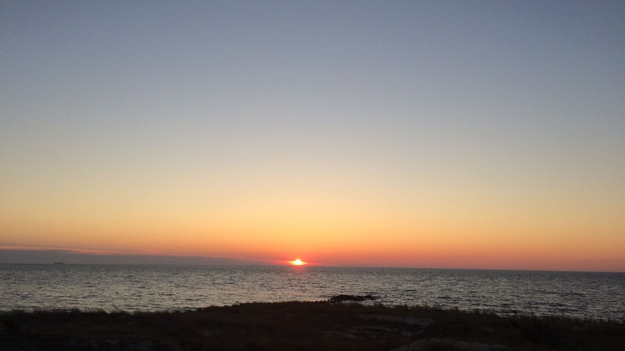 Photo of Others in North Cape May