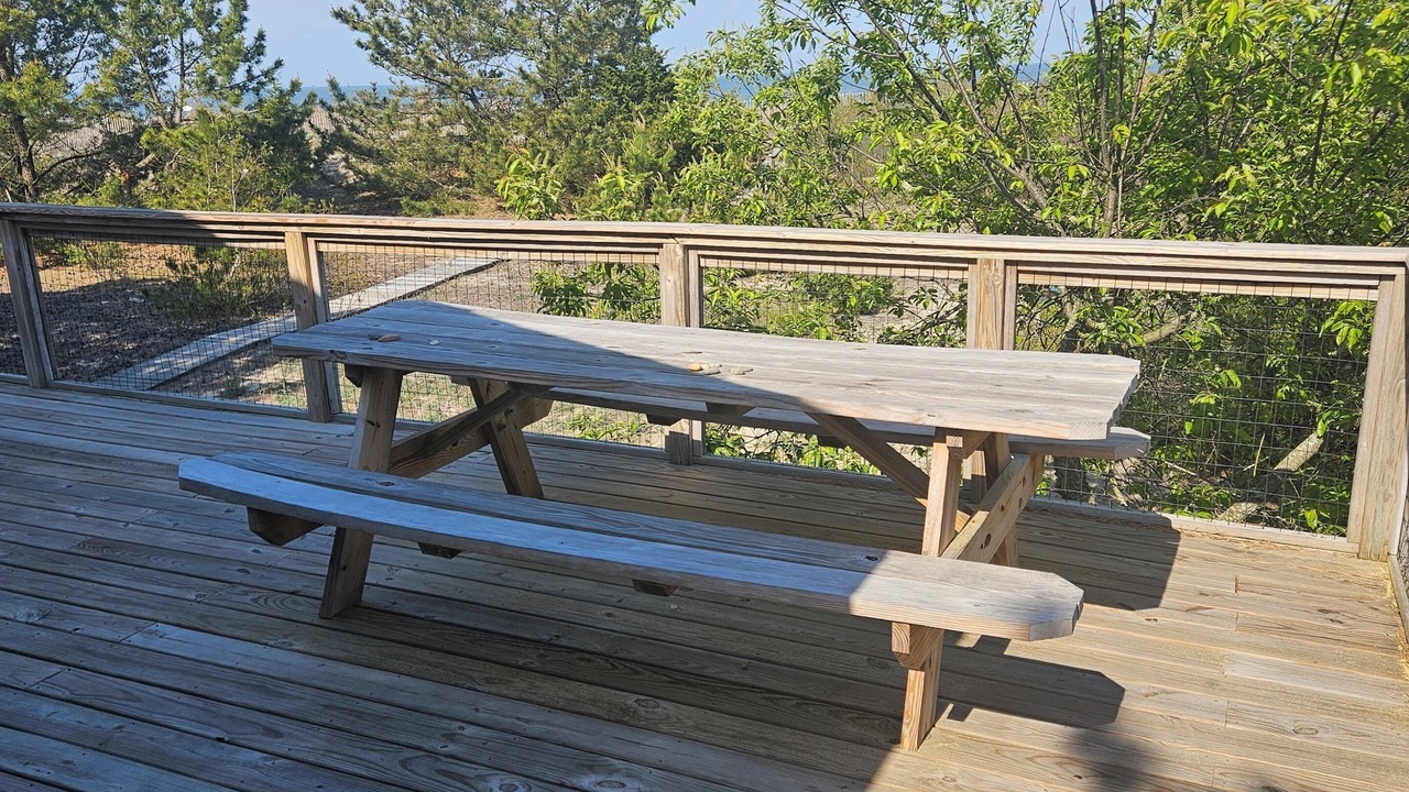Photo of Outdoor in Broadkill Beach