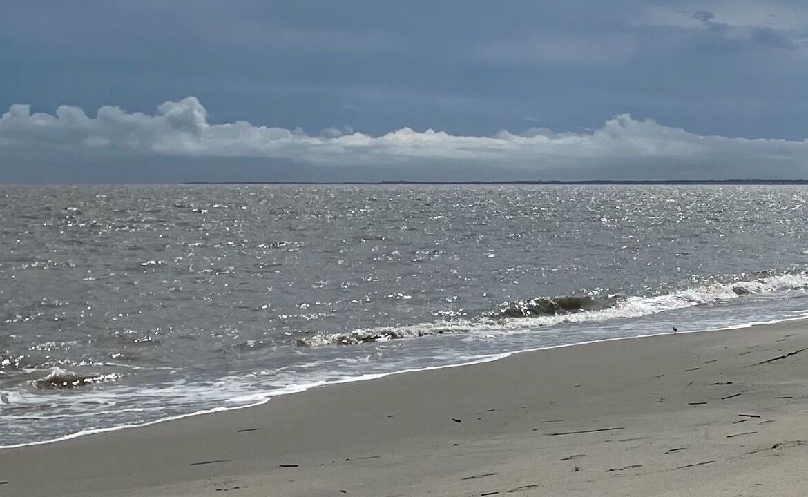 Photo of Others in Broadkill Beach